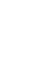 Apple Icon